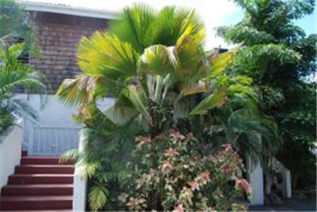 Fort Recovery Villa Suites Hotel Freshwater Pond Luaran gambar